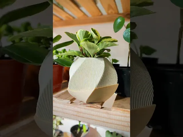 Sofia Planter Pot - Vases & Planters By Lunfardo video thumbnail