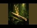 Download Lagu Mind Relax Flute instrument