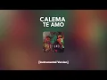 Download Lagu Calema - Te Amo [Instrumental] MP3
