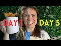 A Week of My Daily Bible Study Routine Realistic Bible Study with Me