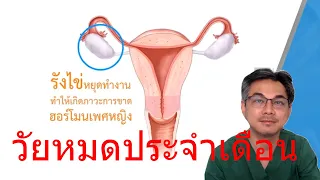 วัยทองเกิดจากสาเหตุอะไร และมีอาการเด่นๆ อะไรบ้าง