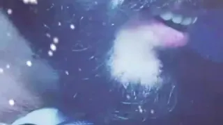 حيدر العماري شني سبب ماعاجبك 