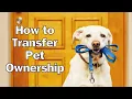 How to Transfer Pet Ownership - cat home user-guide transfer pet s ownership