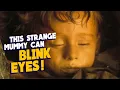 The Mystery Of Rosalia Lombardo The Blinking Mummy Who Appears To Open Her Eyes