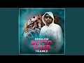 Download Lagu Benazir Butto Vs. Tiger Trance