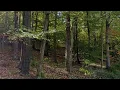 Pure Simple - 1 47 acres