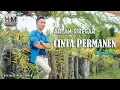 Download Lagu Arlan Siregar - Cinta Permanen - HM Production (Official Music Video)