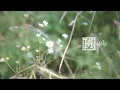 Genevieve Stokes - Habits (Live Performance Video)