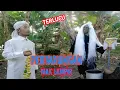 Download Lagu PARODI MAK LAMPIR TERLUCU 2021 |  Eps.01
