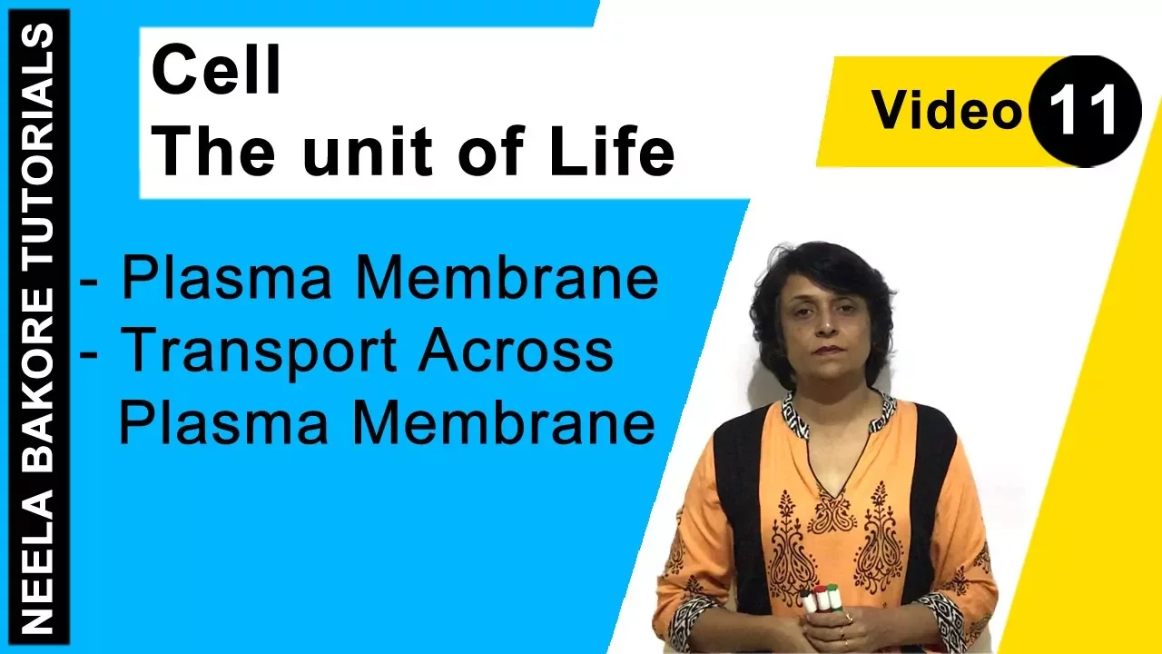 Cell - The unit of Life | NEET | Plasma Membrane - Transport Across Plasma Membrane | Neela Bakore
