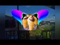 Blackpink - Ice Cream (with Selena Gomez ) R3L Remix