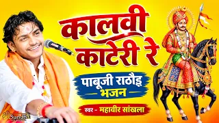 कालवी काटेरी रे पाबूजी राठौड़ भजन | महावीर सांखला | चिबा गांव भजन लाइव
