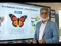 Butterfly Moth Explained Invertebrate Animals for Kids Easy Science