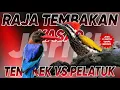 Lagu Masteran Tengkek Udang dan Pelatuk Jernih #muraibatu #burungpelatuk 
