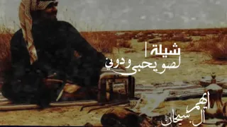 شيلة لصويحبي ودوني اداء صالح الزهراني 2020 جديد 
