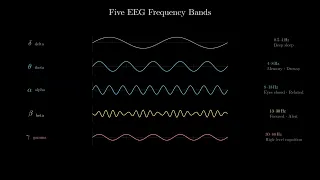 EEG Basics Signal Origin Frequency Bands Data Structure MNE-Python EP01
