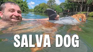 TREINANDO MEU CACHORRO PARA SALVAR VIDAS!
