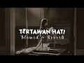 Awdella - tertawan hati ( slowed + reverb )