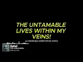 Download Lagu Optal - The untamable (Lyric video) | DDM RECORDS