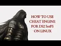 How to Cheat Engine for Dark Souls 2 SotFS on Linux