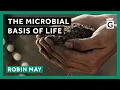 Download Lagu The Microbial Basis of Life