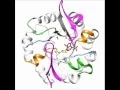 Two-step Ligand Binding in a 8 Barrel Enzyme - Substrate-bound Structures Shed New Light