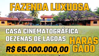 FARM FOR SALE WITH HORSE STABLES, CINEMATOGRAPHIC HOUSE, DOZENS OF LAKES AND STRUCTURE FOR CATTLE