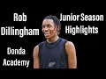Rob Dillingham Junior Season Highlights - Donda Academy