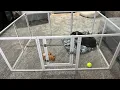 Clear acrylic dog playpen