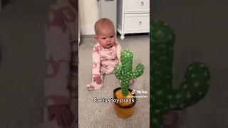 To Purchase This Product Hold The Link In The Description And Click On The Chrome Icon 