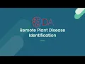 Remote Plant Disease Identification Optimum Data Analytics