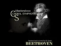 Symphony No. 9 in D minor ('Choral') Op. 125 - Molto vivace