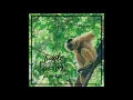 HavinBae -  Jungle Bum (Original Audio)