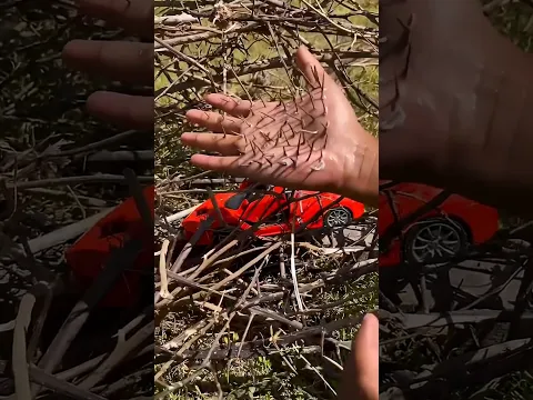خدعة الأب المذهلة أخرجت اللعبة! 😱🎉#shorts