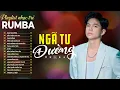Download Lagu Ngã Tư Đường - Đạt Long Vinh | Album Rumba Nhạc Trẻ Với Nhữn Bản Hit Hot Nhất Hiện Nay