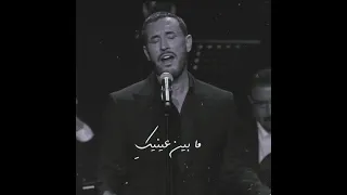 ليتني اقدر ان ادخل جلدك  شعرك  صوتك  اكثر   انستا       دندنها
