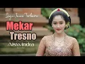 Mekar Tresno || Aiswindra Ayu Lestari