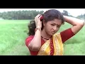 Download Lagu Aasaiyila Paathi Katti Video Song - ஆசையிலே பாத்தி கட்டி | Ramarajan ,Gauthami, Enga Ooru Kavalkaran
