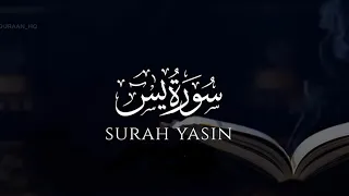 سورة يس كاملة القارئ شريف مصطفى 