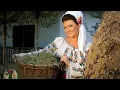 Download Lagu Steliana Sima - Unde-i satul de altadata