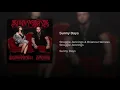 Sunny Days - (Struggle Jennings & Brianna Harness)