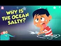 Download Lagu Why Is Ocean Water Salty? | Earth's Ocean | Dr Binocs Show | Peekaboo Kidz
