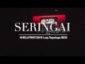 Download Lagu Seringai - Tragedi Live at Hellprint 2016 - United Day IV