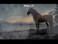 - TAGNE - NADI CANADI | Slowed & reverb |