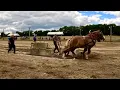 Download Lagu HAVE YOU EVER SEEN THIS?!! ... A very DIFFERENT kind of horse pull! #842
