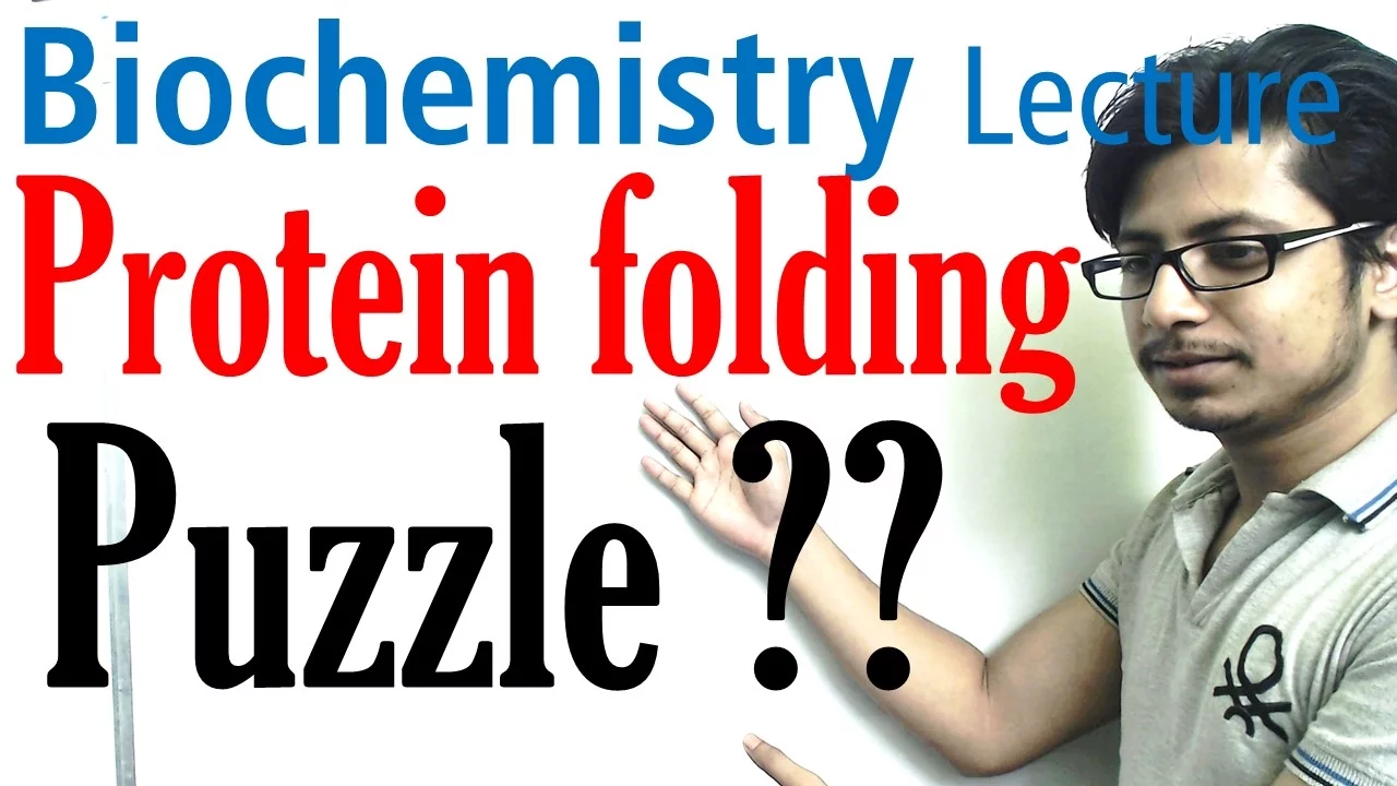 Protein folding mechanism biochemistry