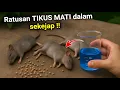 Download Lagu KENAPA TIDAK DARI DULU‼️Padahal banyak yang butuh cara ini