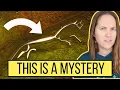 Download Lagu Waarom zijn deze mysterieuze figuren in het Britse landschap gegraveerd?