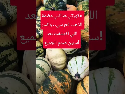 سر مضمة الذهب اتفرش بعد سنين! 💣 #اكسبلور #قصص_مغربية #فرنسا #قصص_واقعية