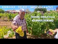 Download Lagu İSMAİL AŞILIOĞLU - 2025 KÖY HAYATI - ÜZÜM BAĞI  MEŞEYAYLA. KÖYÜ -  DELİCE KIRIKKALE 